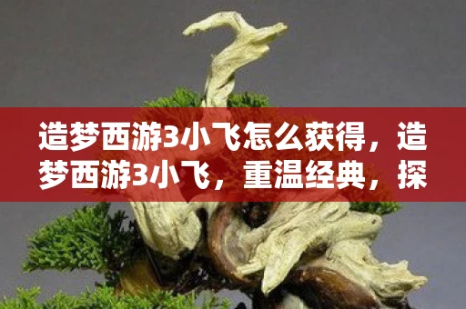 造梦西游3小飞怎么获得，造梦西游3小飞，重温经典，探索未知
