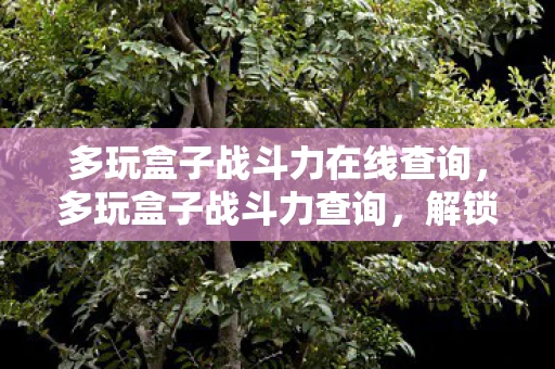多玩盒子战斗力在线查询,多玩盒子战斗力查询,解锁游戏新境界 多玩盒子战斗力在线查询,多玩盒子战斗力查询,解锁游戏新境界