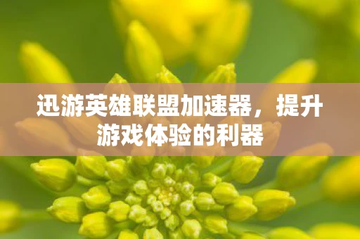迅游英雄联盟加速器,提升游戏体验的利器 迅游英雄联盟加速器,提升游戏体验的利器