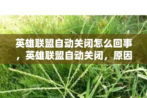 英雄联盟自动关闭怎么回事,英雄联盟自动关闭,原因分析与解决方案 英雄联盟自动关闭怎么回事,英雄联盟自动关闭,原因分析与解决方案