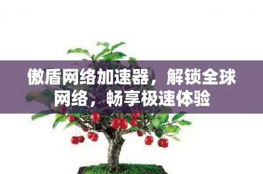 傲盾网络加速器,解锁全球网络,畅享极速体验 傲盾网络加速器,解锁全球网络,畅享极速体验