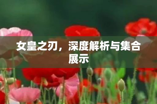 深度解析与集合展示图片