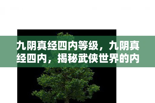 九阴真经四内等级,九阴真经四内,揭秘武侠世界的内功心法 九阴真经四内等级,九阴真经四内,揭秘武侠世界的内功心法