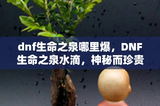 dnf生命之泉哪里爆，DNF生命之泉水滴，神秘而珍贵的存在
