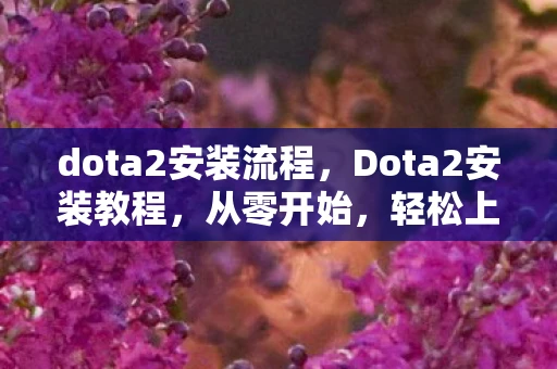 dota2安装流程，Dota2安装教程，从零开始，轻松上手