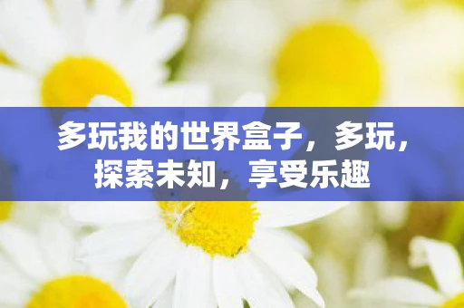 多玩我的世界盒子，多玩，探索未知，享受乐趣