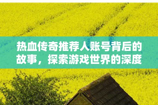热血传奇推荐人账号背后的故事图片