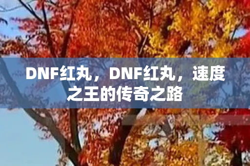 DNF红丸,DNF红丸,速度之王的传奇之路 DNF红丸,DNF红丸,速度之王的传奇之路