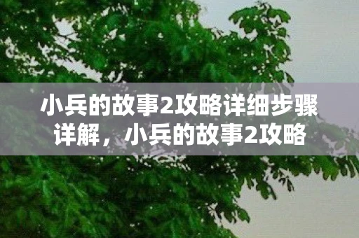 小兵的故事2攻略详细步骤详解，小兵的故事2攻略
