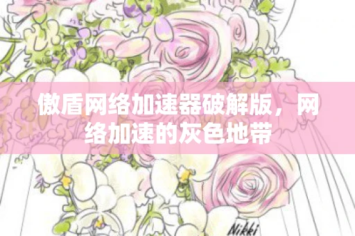 傲盾网络加速器破解版，网络加速的灰色地带