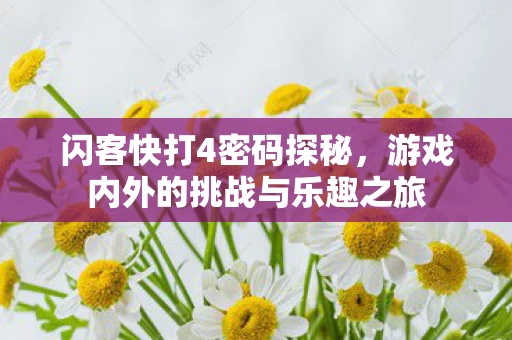 游戏内外的挑战与乐趣之旅图片