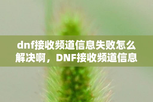 dnf接收频道信息失败怎么解决啊，DNF接收频道信息失败怎么办？