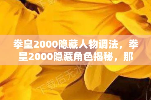 拳皇2000隐藏人物调法，拳皇2000隐藏角色揭秘，那些未被发掘的格斗传奇