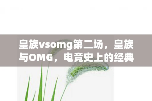 皇族vsomg第二场，皇族与OMG，电竞史上的经典对决