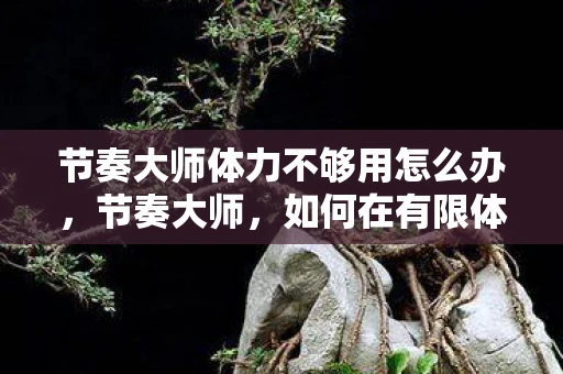 节奏大师体力不够用怎么办,节奏大师,如何在有限体力下高效练习 节奏大师体力不够用怎么办,节奏大师,如何在有限体力下高效练习