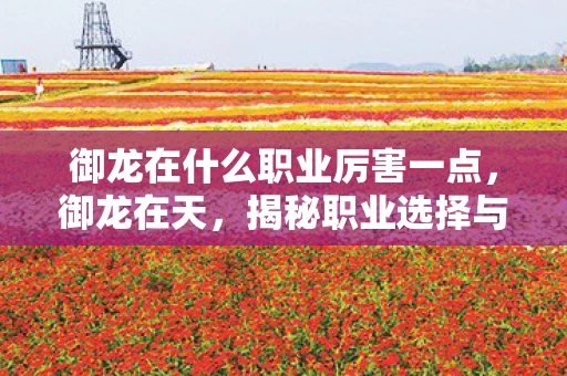 御龙在什么职业厉害一点,御龙在天,揭秘职业选择与角色发展 御龙在什么职业厉害一点,御龙在天,揭秘职业选择与角色发展