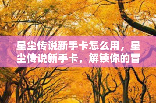 星尘传说新手卡怎么用，星尘传说新手卡，解锁你的冒险之旅