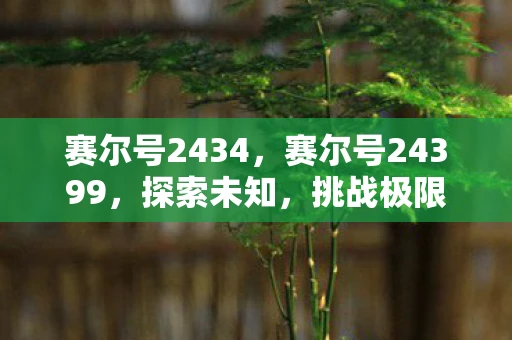 赛尔号2434,赛尔号24399,探索未知,挑战极限 赛尔号2434,赛尔号24399,探索未知,挑战极限
