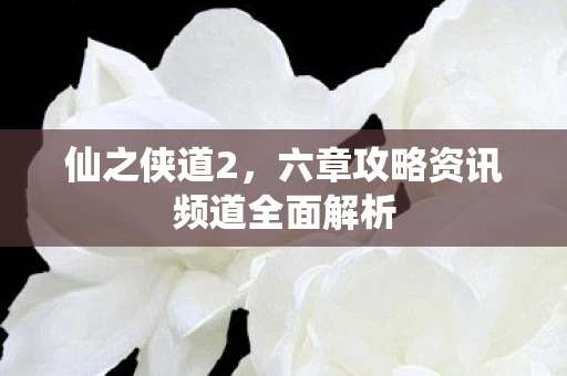 六章攻略资讯频道全面解析图片