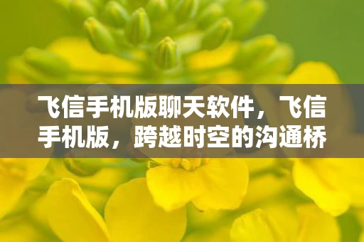 飞信手机版聊天软件，飞信手机版，跨越时空的沟通桥梁