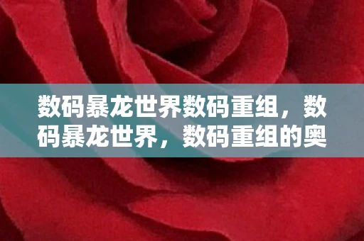 数码暴龙世界数码重组,数码暴龙世界,数码重组的奥秘 数码暴龙世界数码重组,数码暴龙世界,数码重组的奥秘