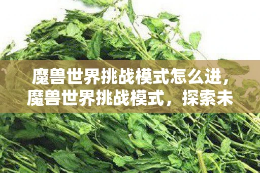 魔兽世界挑战模式怎么进，魔兽世界挑战模式，探索未知，挑战自我