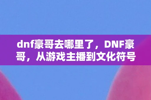 dnf豪哥去哪里了，DNF豪哥，从游戏主播到文化符号的蜕变