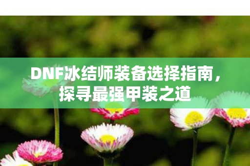 DNF冰结师装备选择指南图片