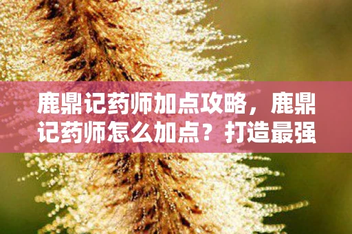 鹿鼎记药师加点攻略，鹿鼎记药师怎么加点？打造最强辅助角色攻略