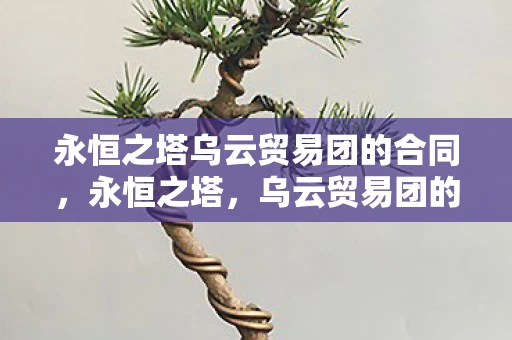 永恒之塔乌云贸易团的合同,永恒之塔,乌云贸易团的传奇与谜团 永恒之塔乌云贸易团的合同,永恒之塔,乌云贸易团的传奇与谜团