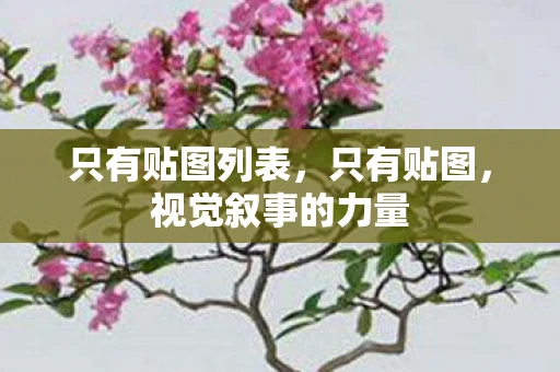 只有贴图列表,只有贴图,视觉叙事的力量 只有贴图列表,只有贴图,视觉叙事的力量