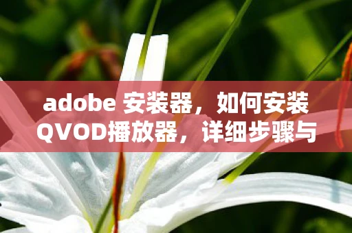 adobe 安装器,如何安装QVOD播放器,详细步骤与注意事项 adobe 安装器,如何安装QVOD播放器,详细步骤与注意事项