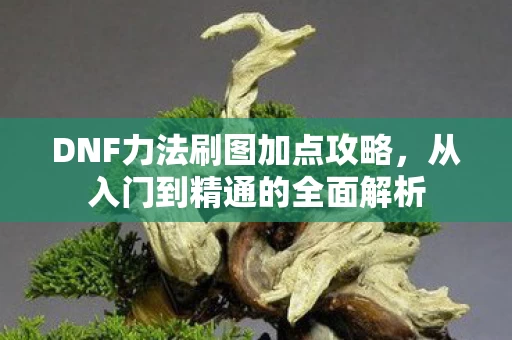 DNF力法刷图加点攻略图片
