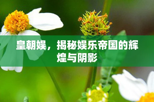 皇朝娱，揭秘娱乐帝国的辉煌与阴影