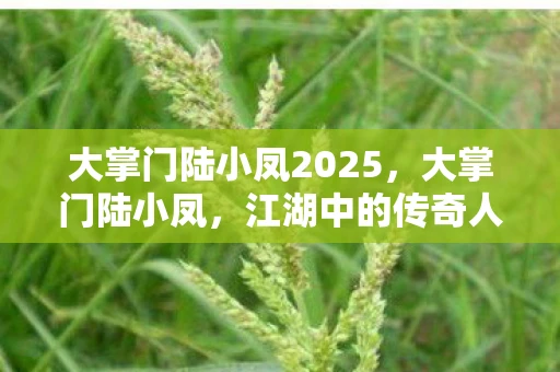 大掌门陆小凤2025，大掌门陆小凤，江湖中的传奇人物