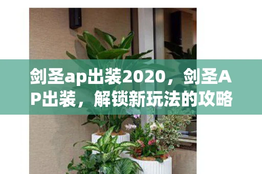 剑圣ap出装2020，剑圣AP出装，解锁新玩法的攻略