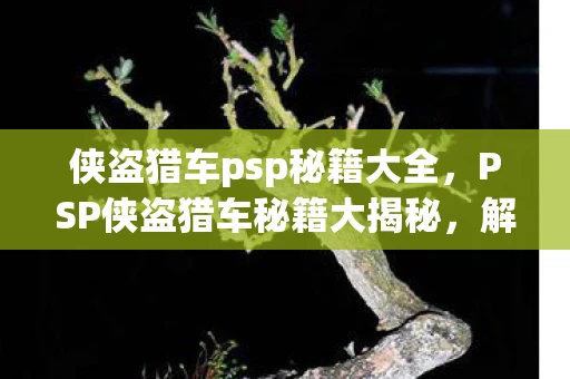 侠盗猎车psp秘籍大全，PSP侠盗猎车秘籍大揭秘，解锁无限乐趣的秘籍指南