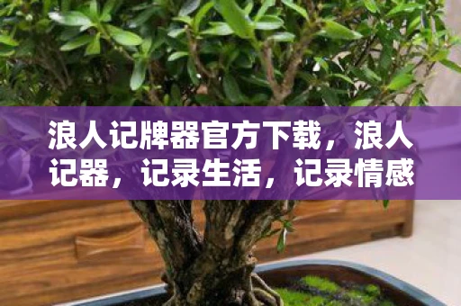 浪人记牌器官方下载，浪人记器，记录生活，记录情感