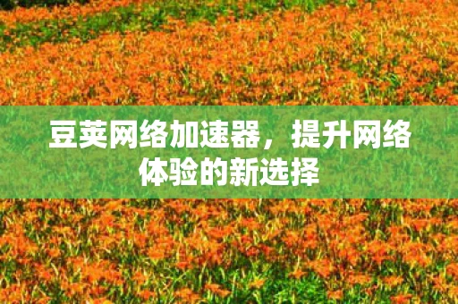 豆荚网络加速器，提升网络体验的新选择