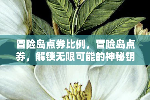 冒险岛点券比例，冒险岛点券，解锁无限可能的神秘钥匙