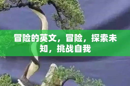 冒险的英文，冒险，探索未知，挑战自我