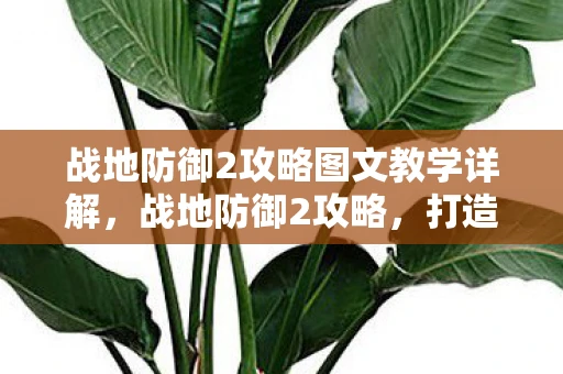 战地防御2攻略图文教学详解,战地防御2攻略,打造无敌防线,称霸战场! 战地防御2攻略图文教学详解,战地防御2攻略,打造无敌防线,称霸战场!