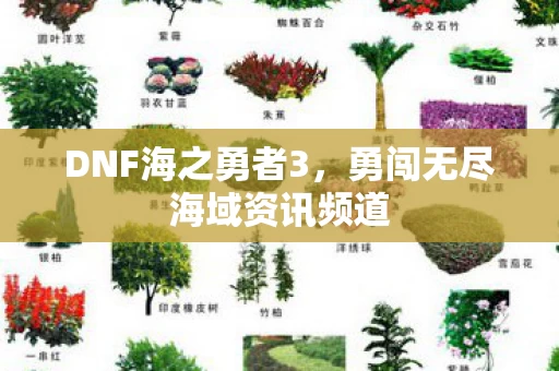 勇闯无尽海域资讯频道图片