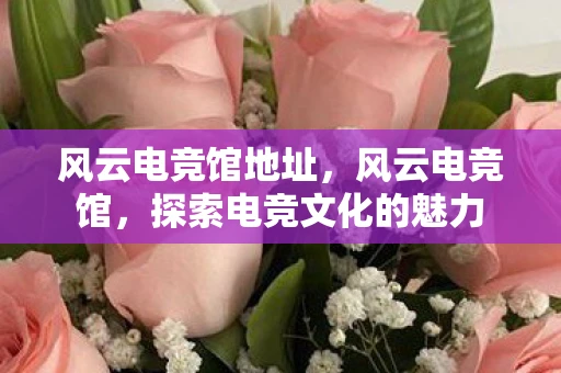 风云电竞馆地址,风云电竞馆,探索电竞文化的魅力 风云电竞馆地址,风云电竞馆,探索电竞文化的魅力