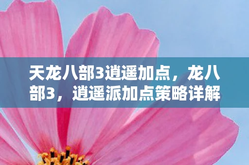 天龙八部3逍遥加点,龙八部3,逍遥派加点策略详解 天龙八部3逍遥加点,龙八部3,逍遥派加点策略详解