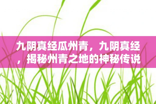 九阴真经瓜州青，九阴真经，揭秘州青之地的神秘传说