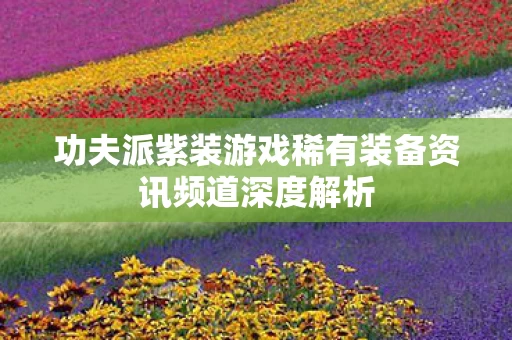 功夫派紫装游戏稀有装备资讯频道深度解析图片
