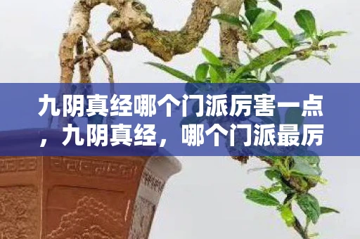 九阴真经哪个门派厉害一点，九阴真经，哪个门派最厉害？