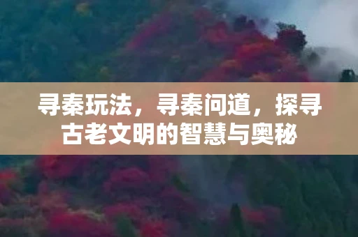 寻秦玩法，寻秦问道，探寻古老文明的智慧与奥秘