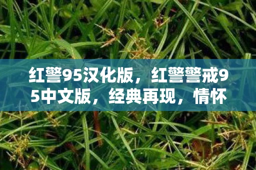红警95汉化版,红警警戒95中文版,经典再现,情怀永存 红警95汉化版,红警警戒95中文版,经典再现,情怀永存